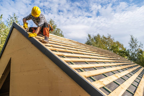 Best Storm Damage Roof Repair  in Fairhope, AL