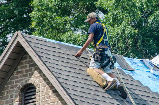 Best Gutter Installation and Roofing  in Fairhope, AL
